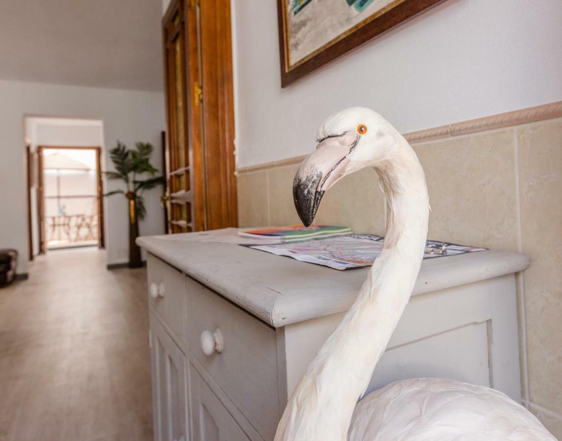 Alhaurin Old Town, Casa Flamingo, 2 bed apartment Alhaurin el Grande Bagian luar foto